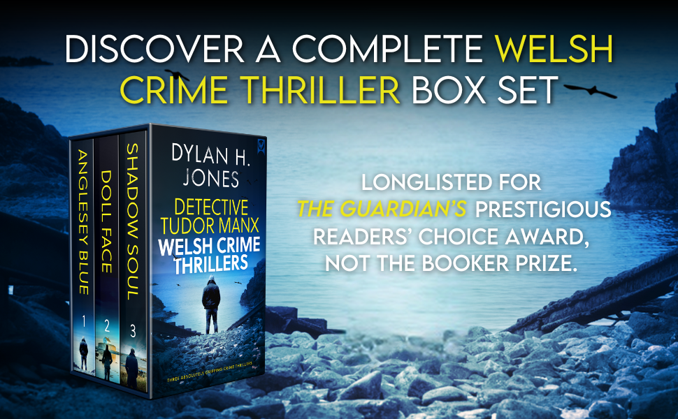 mystery, welsh, wales, thriller, detective, suspense, twist, killer, victim, murder, investigation